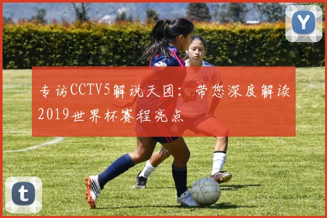 专访CCTV5解说天团:带您深度解读2019世界杯赛程亮点
