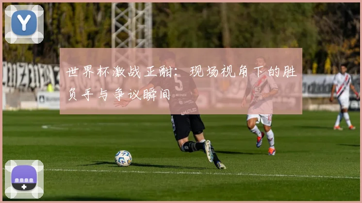 世界杯激战正酣:现场视角下的胜负手与争议瞬间