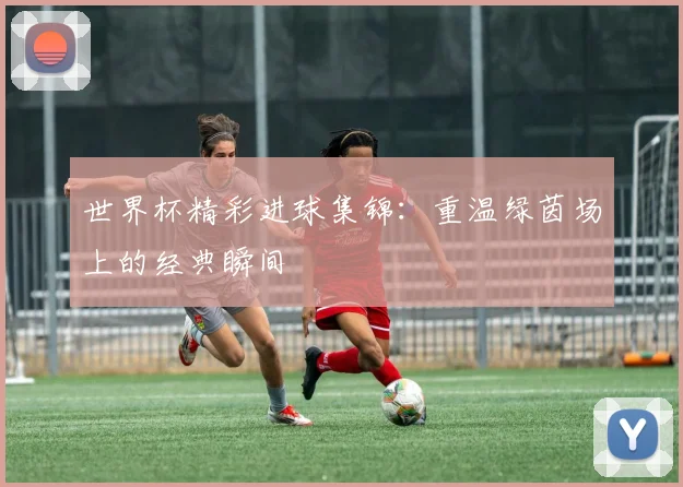 世界杯精彩进球集锦：重温绿茵场上的经典瞬间