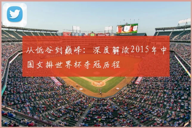 从低谷到巅峰：深度解读2015年中国女排世界杯夺冠历程