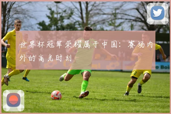 世界杯冠军荣耀属于中国：赛场内外的高光时刻