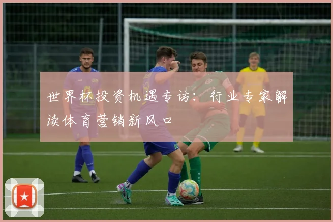 世界杯投资机遇专访:行业专家解读体育营销新风口