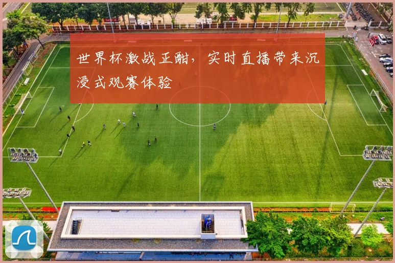 世界杯激战正酣,实时直播带来沉浸式观赛体验