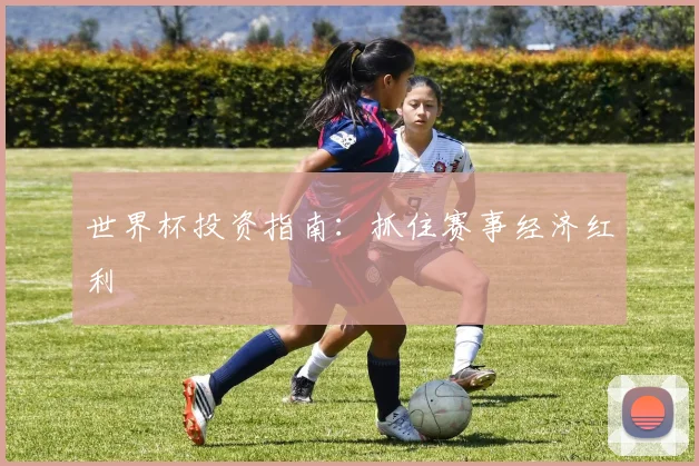 世界杯投资指南:抓住赛事经济红利