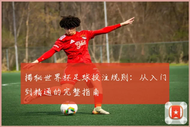揭秘世界杯足球投注规则：从入门到精通的完整指南